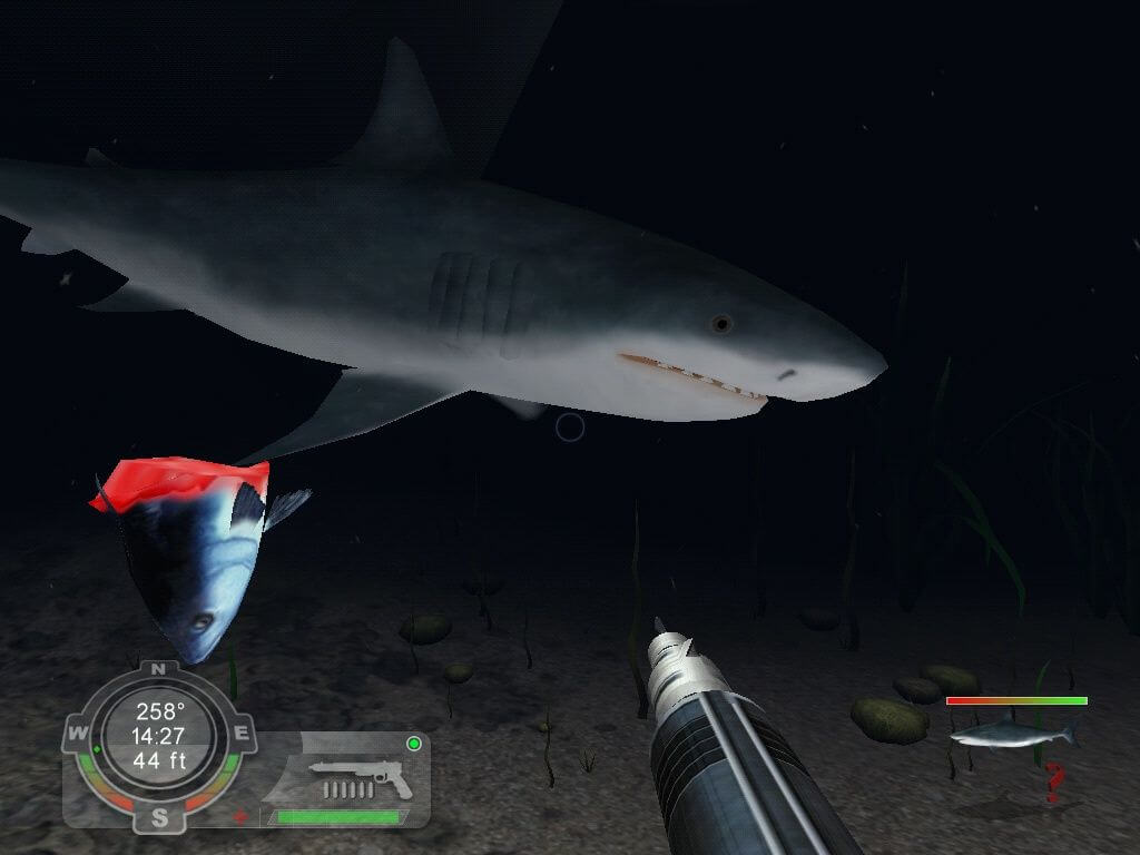 Shark Games Week - 100%ing Shark! Hunting the Great White 