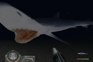 Shark! Hunting the Great White 14