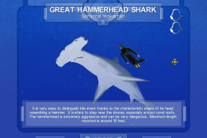Shark! Hunting the Great White 1