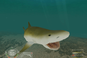 Shark! Hunting the Great White 21