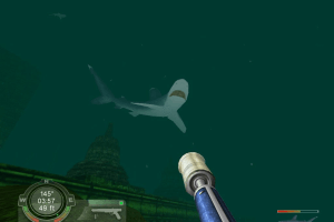 Shark! Hunting the Great White 5