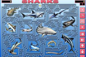 Sharks 0