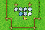 Sheep Mania 5