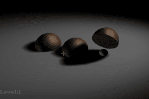 Shell Game 1