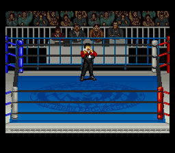 Shin Nihon Pro Wrestling '94: Battlefield in Tokyo Dome abandonware