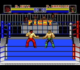 Download Shin Nihon Pro-Wrestling '94: Battlefield in Tokyo