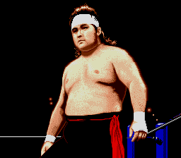 Shin Nihon Pro Wrestling '94: Battlefield in Tokyo Dome 3