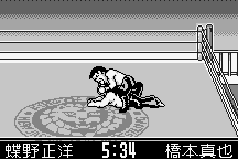 Shin Nihon Pro-Wrestling: Tōkon Retsuden 9