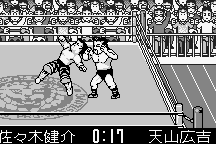 Shin Nihon Pro-Wrestling: Tōkon Retsuden 12