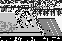 Shin Nihon Pro-Wrestling: Tōkon Retsuden 13