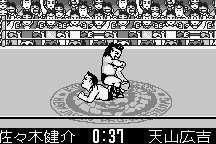 Shin Nihon Pro Wrestling Tōkon Retsuden abandonware