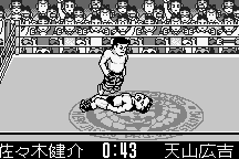 Shin Nihon Pro-Wrestling: Tōkon Retsuden 16