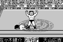 Shin Nihon Pro-Wrestling: Tōkon Retsuden 19