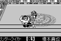 Shin Nihon Pro-Wrestling: Tōkon Retsuden 23