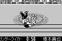 Shin Nihon Pro-Wrestling: Tōkon Retsuden 24