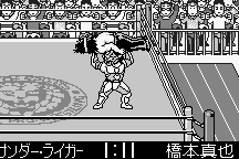 Shin Nihon Pro-Wrestling: Tōkon Retsuden 25