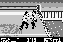 Shin Nihon Pro-Wrestling: Tōkon Retsuden 7
