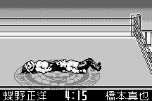 Shin Nihon Pro-Wrestling: Tōkon Retsuden 8