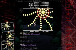 Shoot the Bullet 3