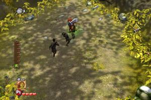Shrek Forever After: The Final Chapter 7