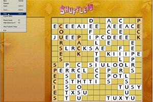 Shuffle 15 6
