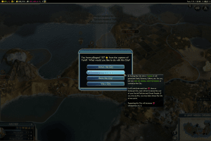 Sid Meier's Civilization V 27
