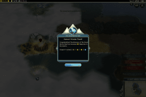 Sid Meier's Civilization V 29