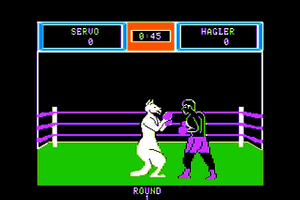 Sierra Championship Boxing 7