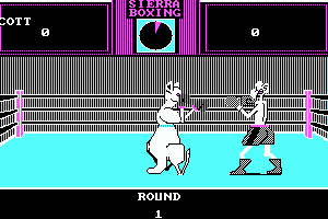 Sierra Championship Boxing 3