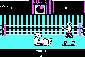Sierra Championship Boxing 4