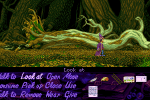 Simon the Sorcerer 10