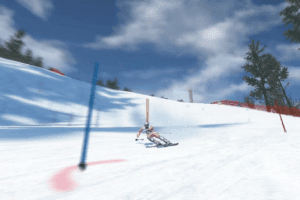 Ski Racing 2006: Featuring Hermann Maier 8