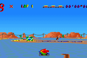 Skunny Kart 9