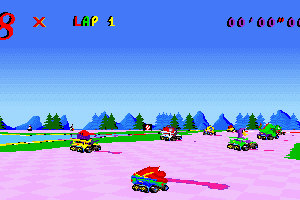 Skunny Kart 13