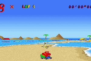 Skunny Kart 17