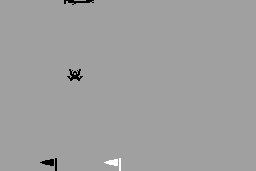 Skydiver 2