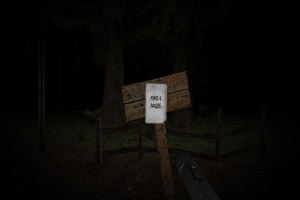 Slender's Woods 16