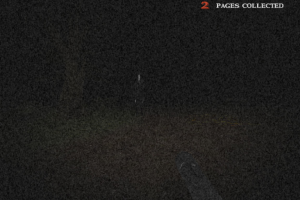 Slender's Woods 18