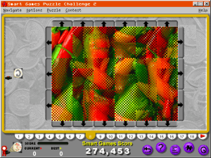 Smart Games Puzzle Challenge 2 18