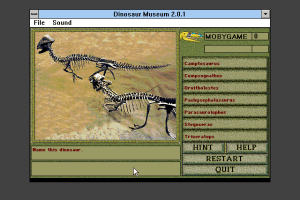 Smithsonian Institution: Dinosaur Museum 7