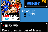 SNK vs. Capcom: Card Fighters' Clash - SNK Cardfighter's Version 13