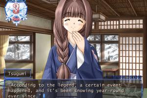 Snow abandonware