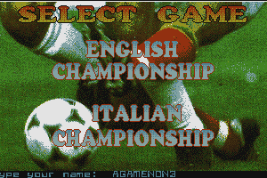 Soccer Team Manager abandonware