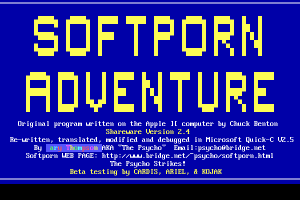 Softporn Adventure 0