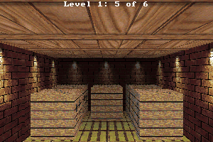 Sokoban 3D abandonware