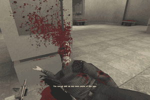 Soldier of Fortune II: Double Helix 29