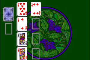 Solitaire Deluxe 14