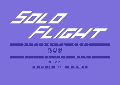 Solo Flight abandonware