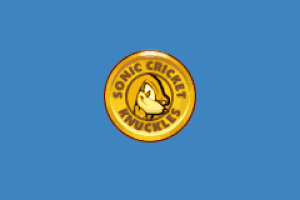 Sonic Cricket 3
