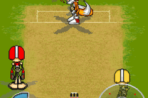 Sonic Cricket 4